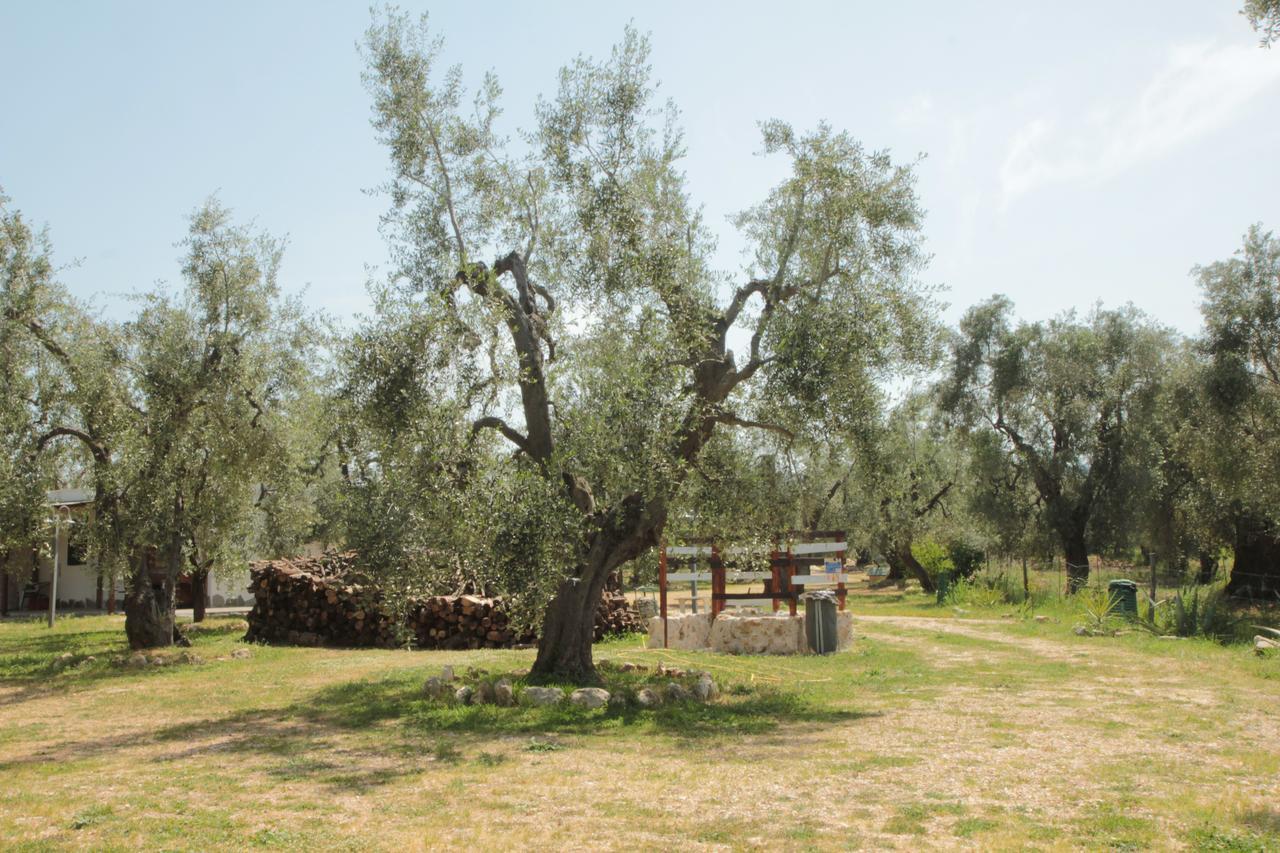 לינה וארוחת בוקר ויאסטה Coppola Rossa Relax מראה חיצוני תמונה
